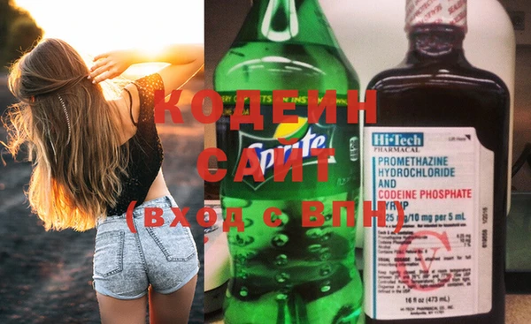 стаф Кодинск