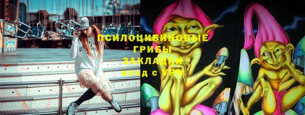 таблы Козловка