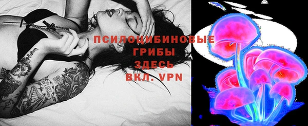 таблы Козловка