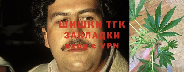 таблы Козловка