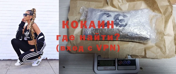 стаф Кодинск