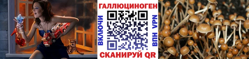 Галлюциногенные грибы мицелий  Купить закладки  Белокуриха 